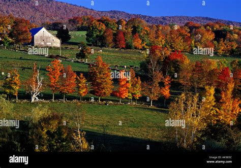 Warren, Vermont .